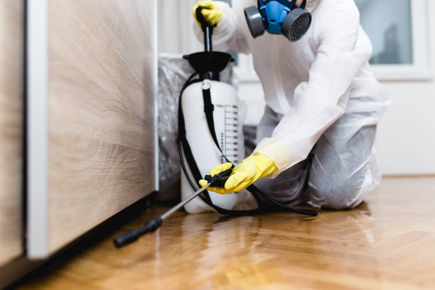 Best Local Pest Control Services  in Eutaw, AL