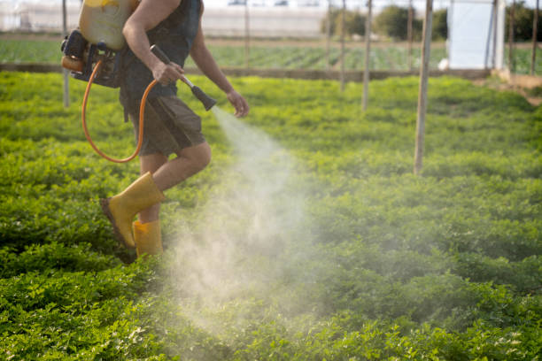 Best Best Pest Control Companies  in Eutaw, AL
