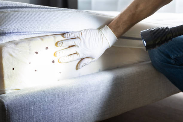 Best Pest Inspection Near Me  in Eutaw, AL